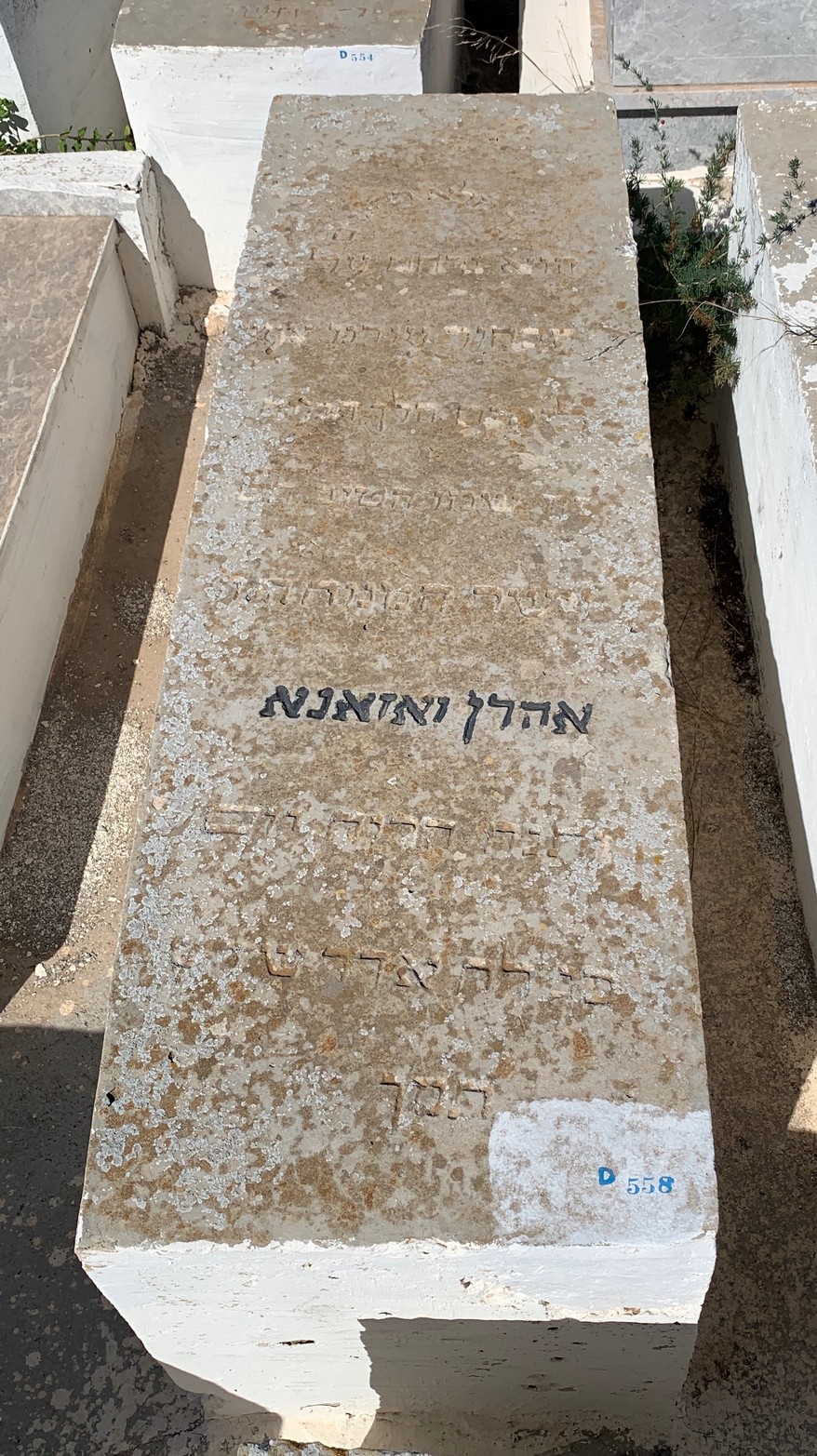 מצבת Weizman Aaron