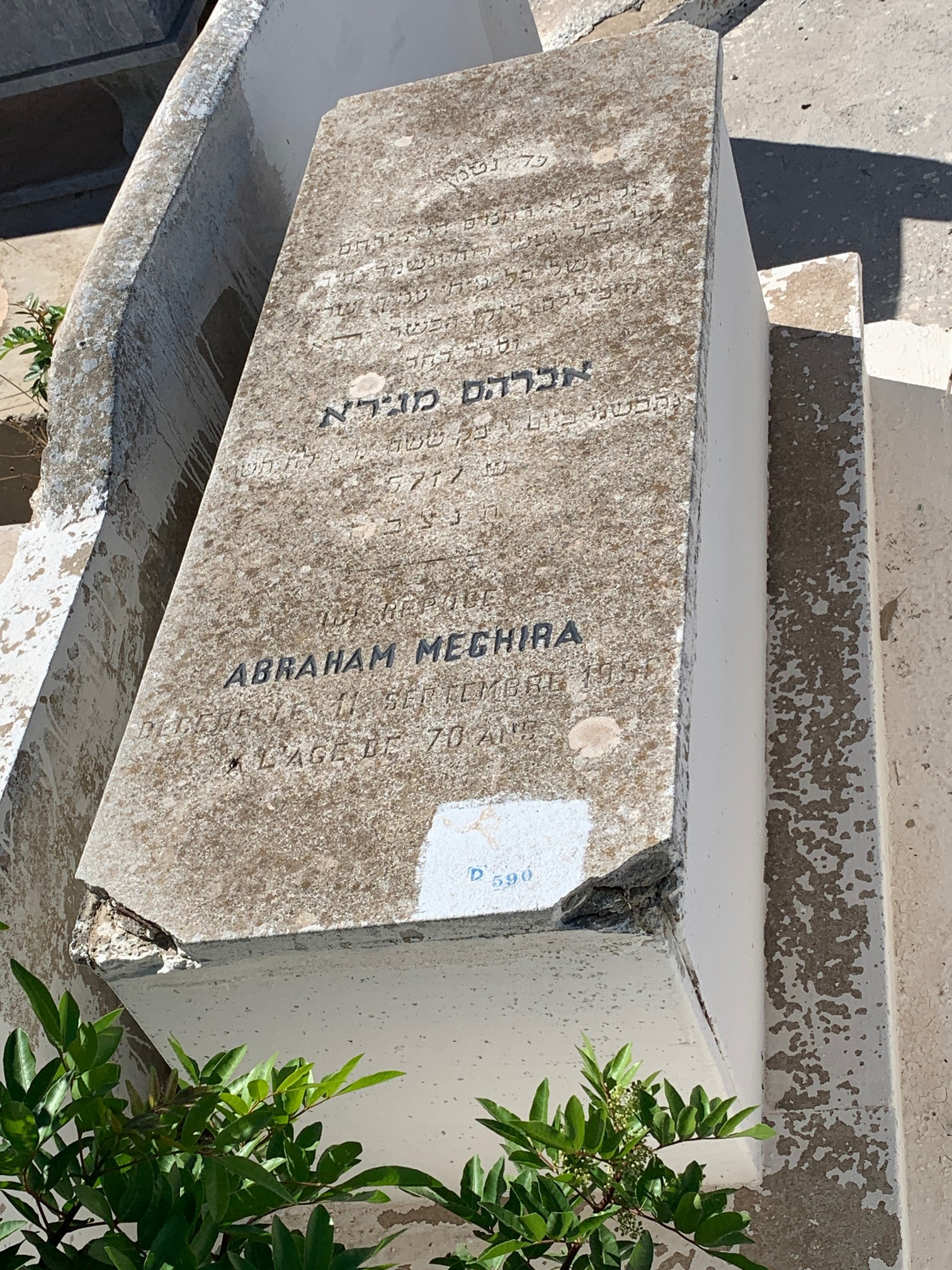 מַצֵּבה פון Meghira Abraham