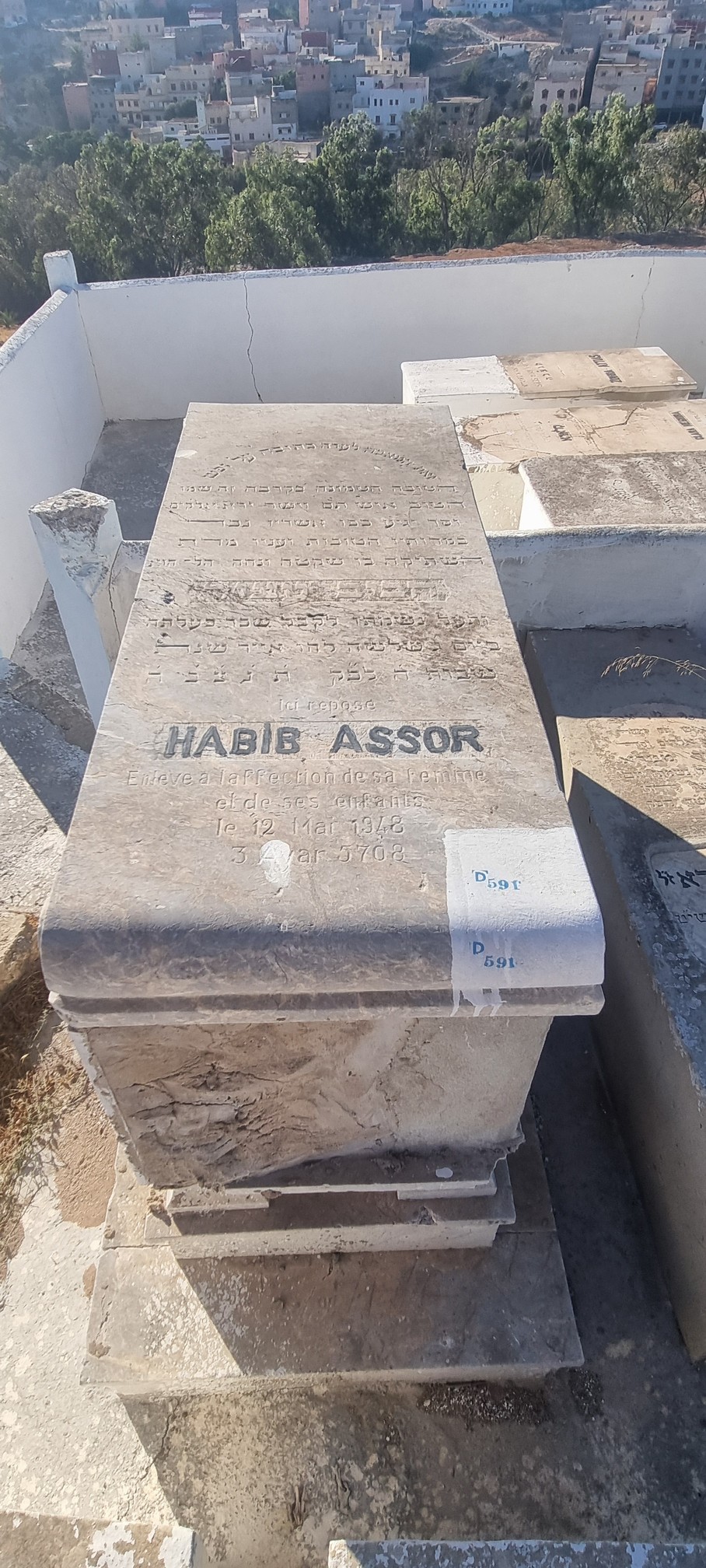 Estela de Assor Habib