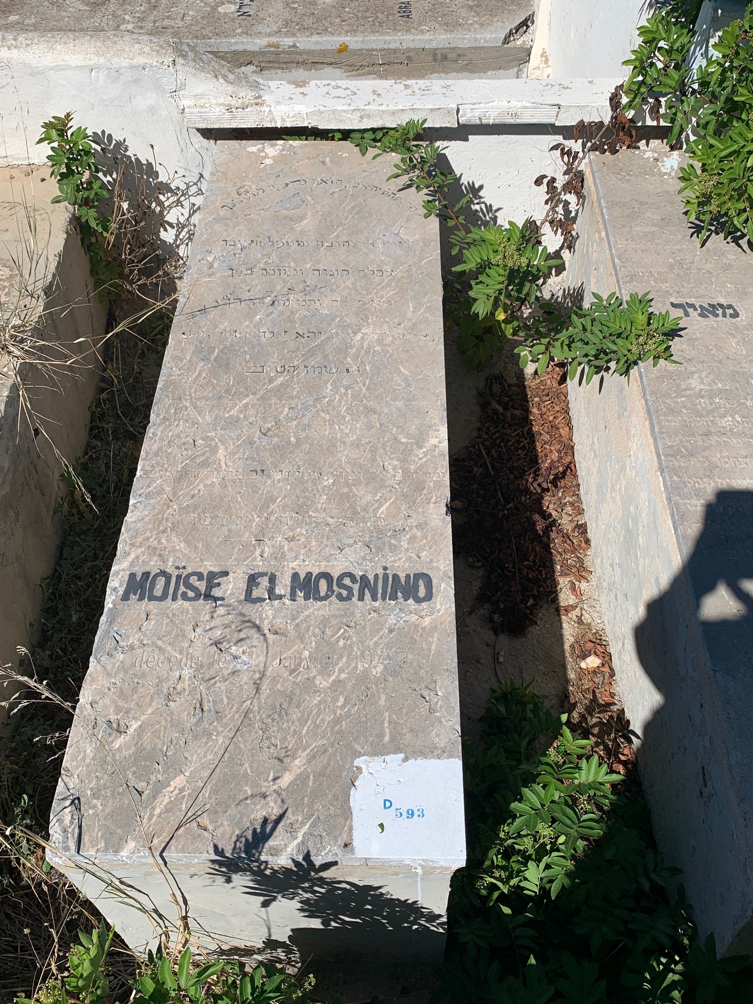Stèle de Elmoznino Moïse