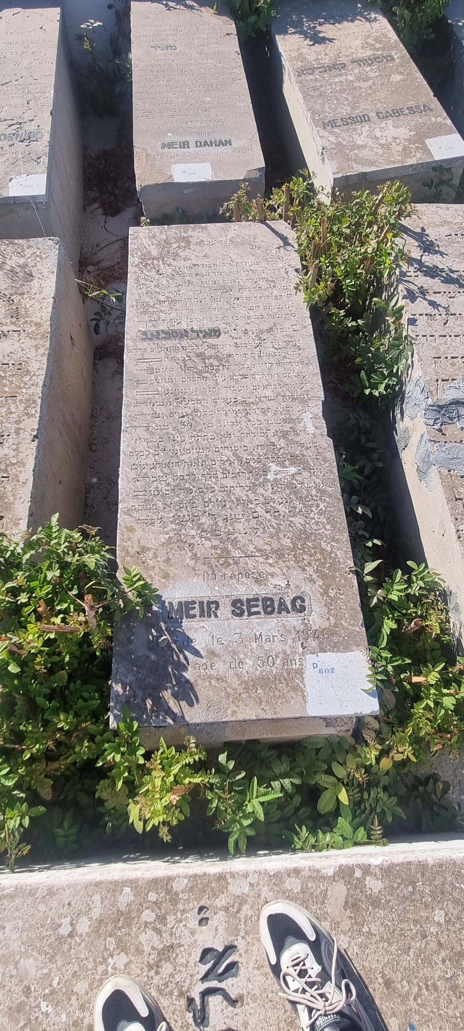 Estela de Sebag Meir