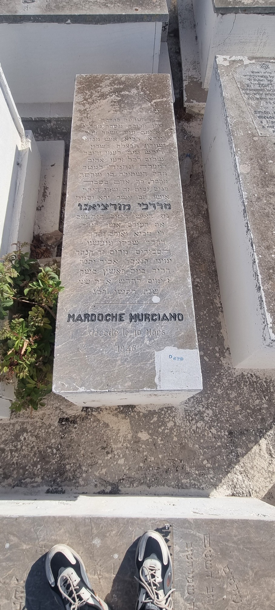 Murciano Mardoché का स्मारक