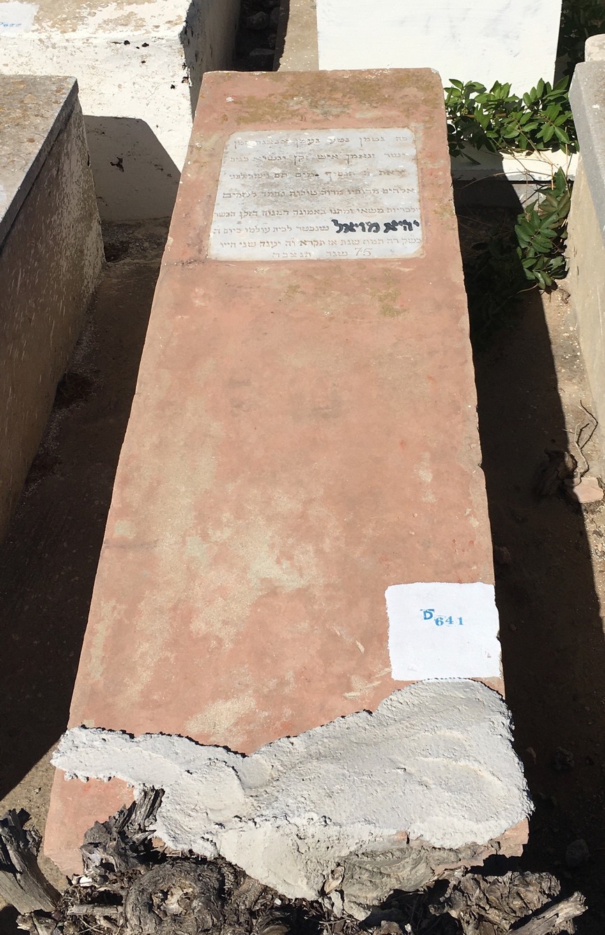 מצבת Moyal Yehiya