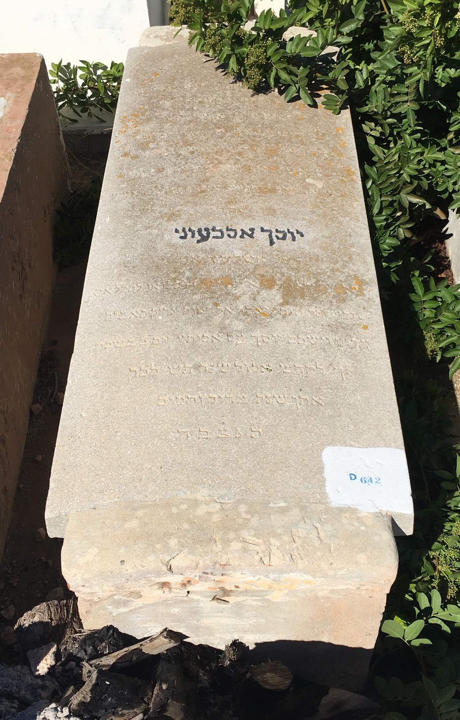 شاهدة قبر siboni Yossef