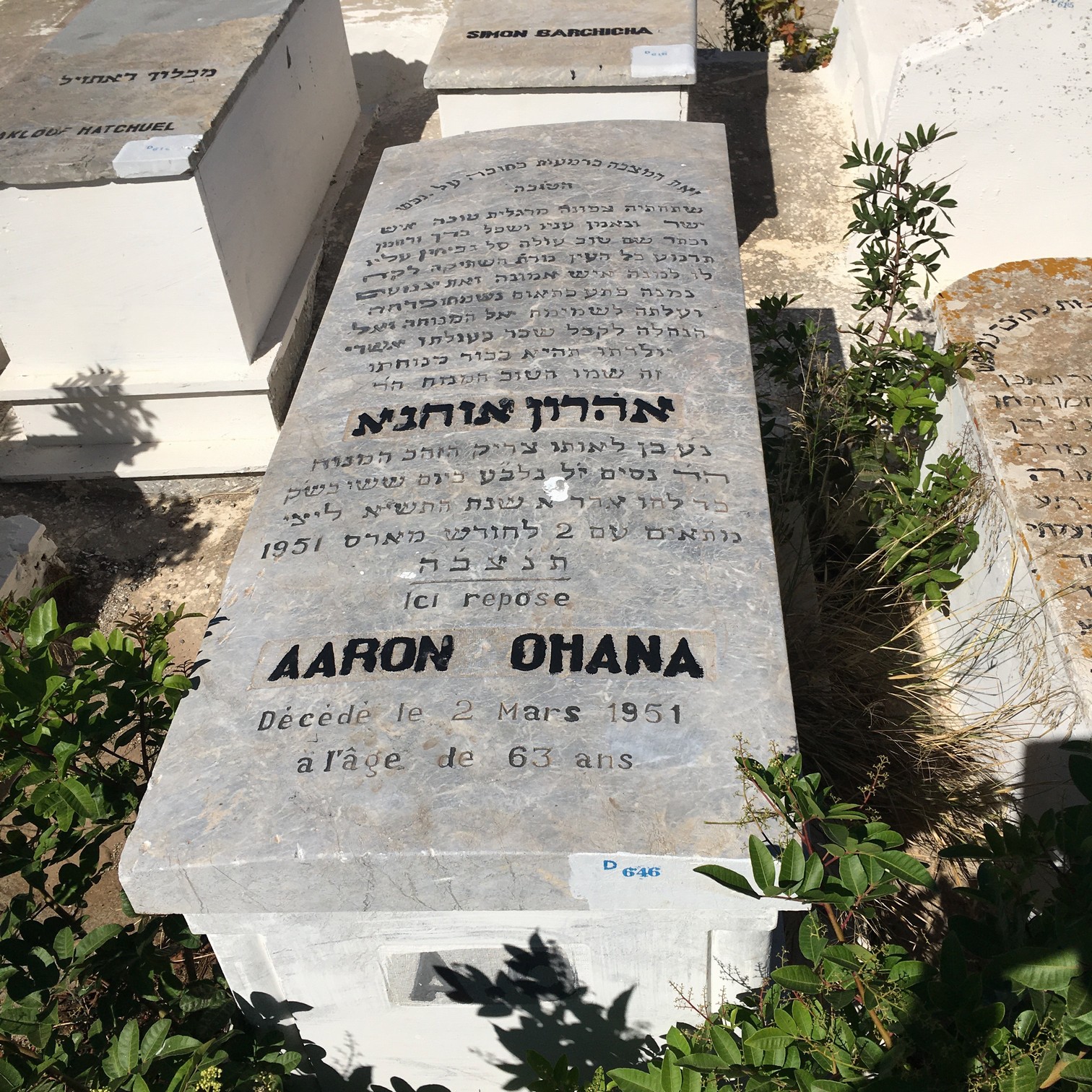 Lápide de Ohana Aaron