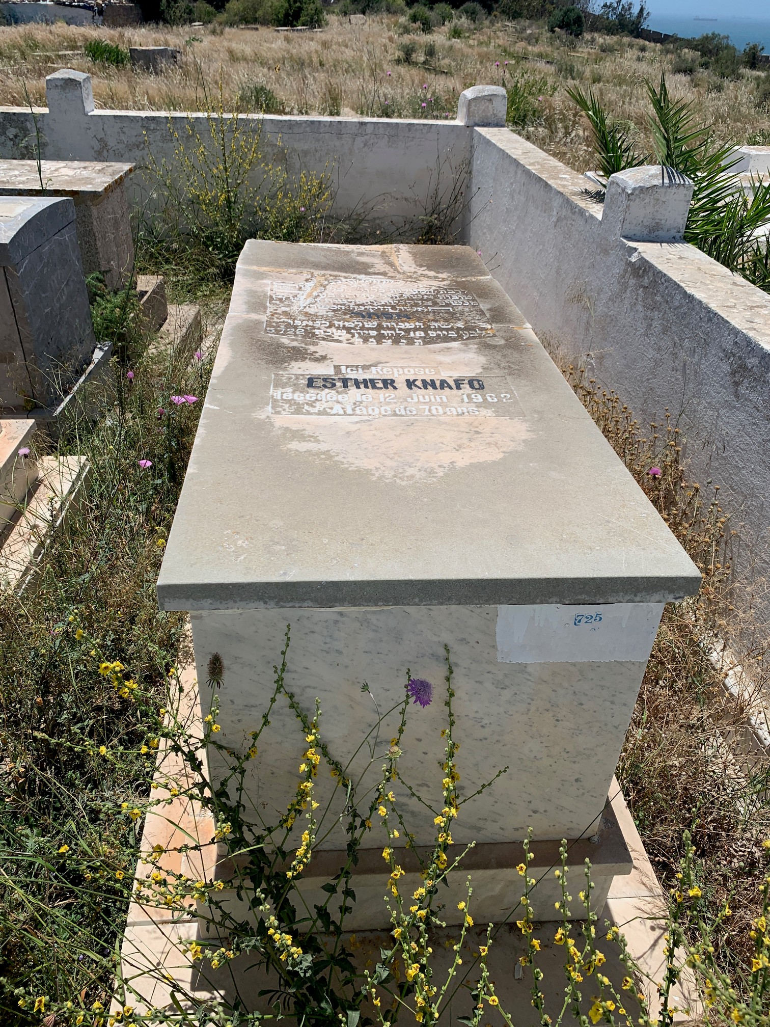 Knafo Esther का स्मारक