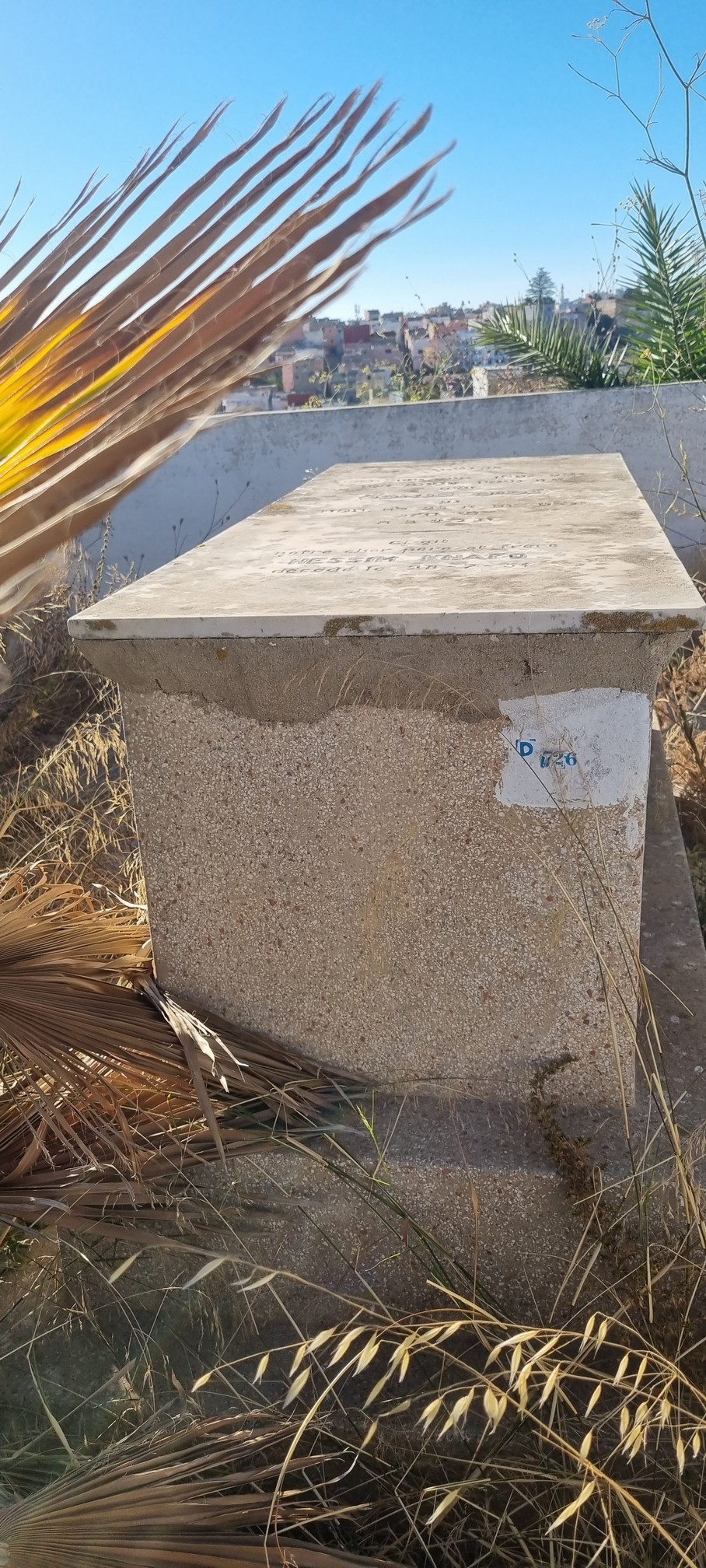 شاهدة قبر Knafo Nessim