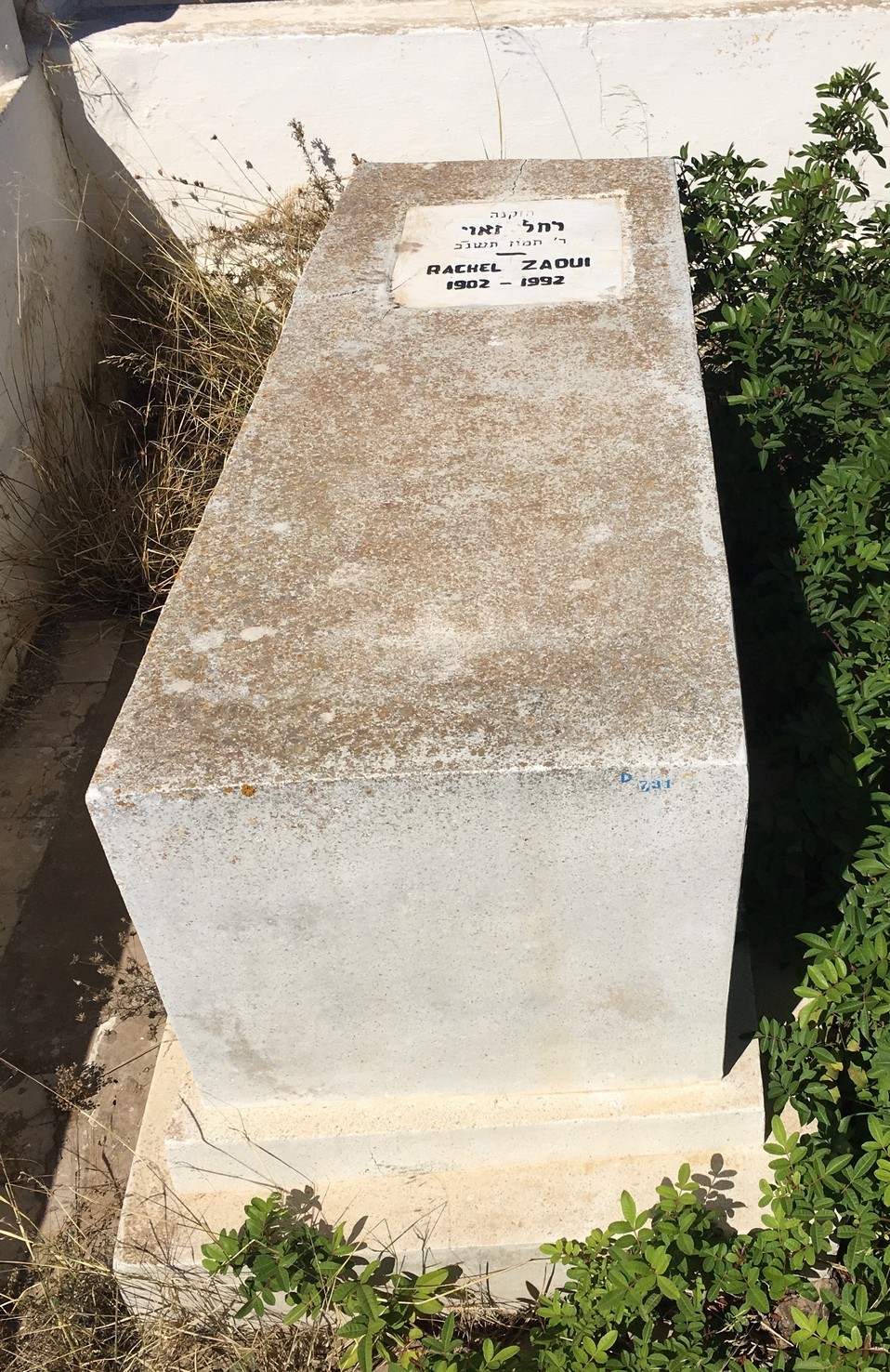 מצבת Zaoui Rachel