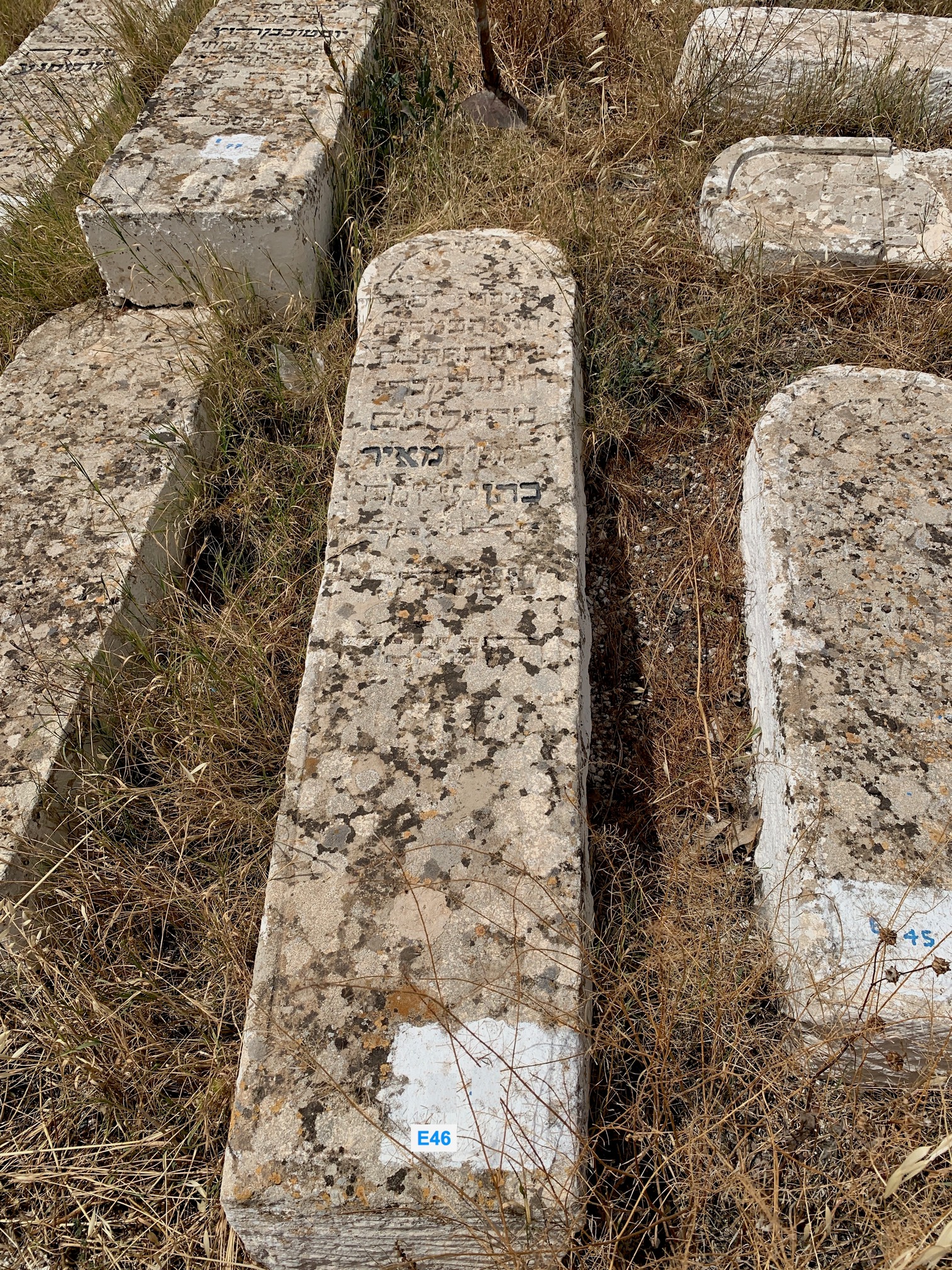Tombstone of Cohen meyer