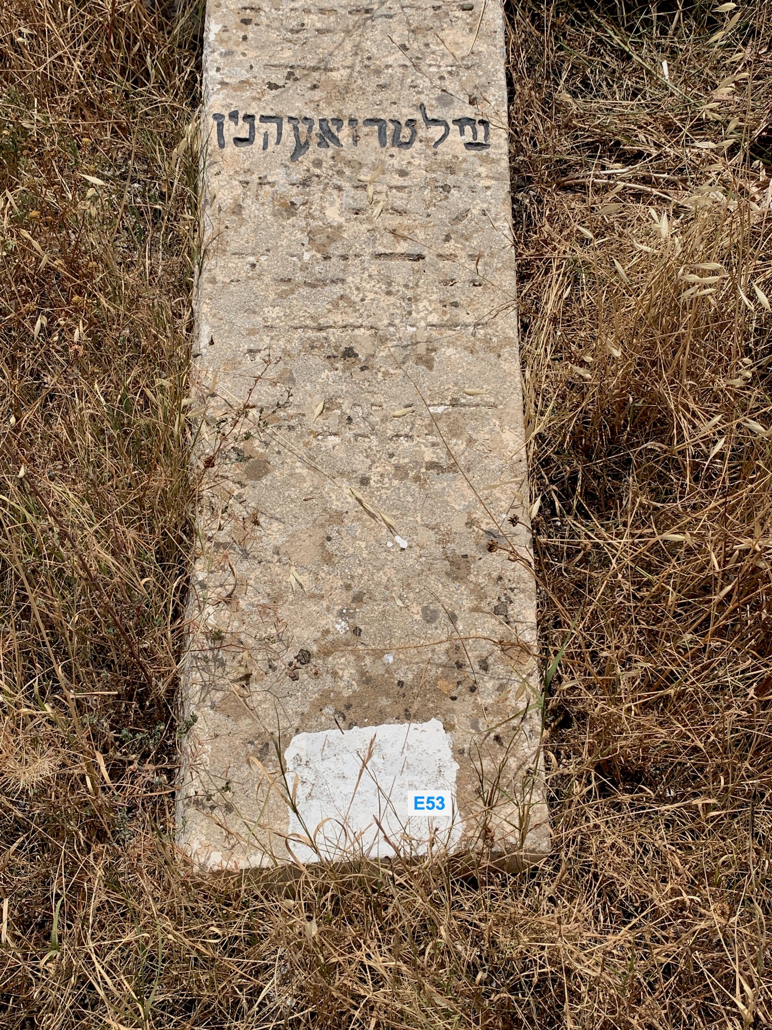 מצבת Oiknine