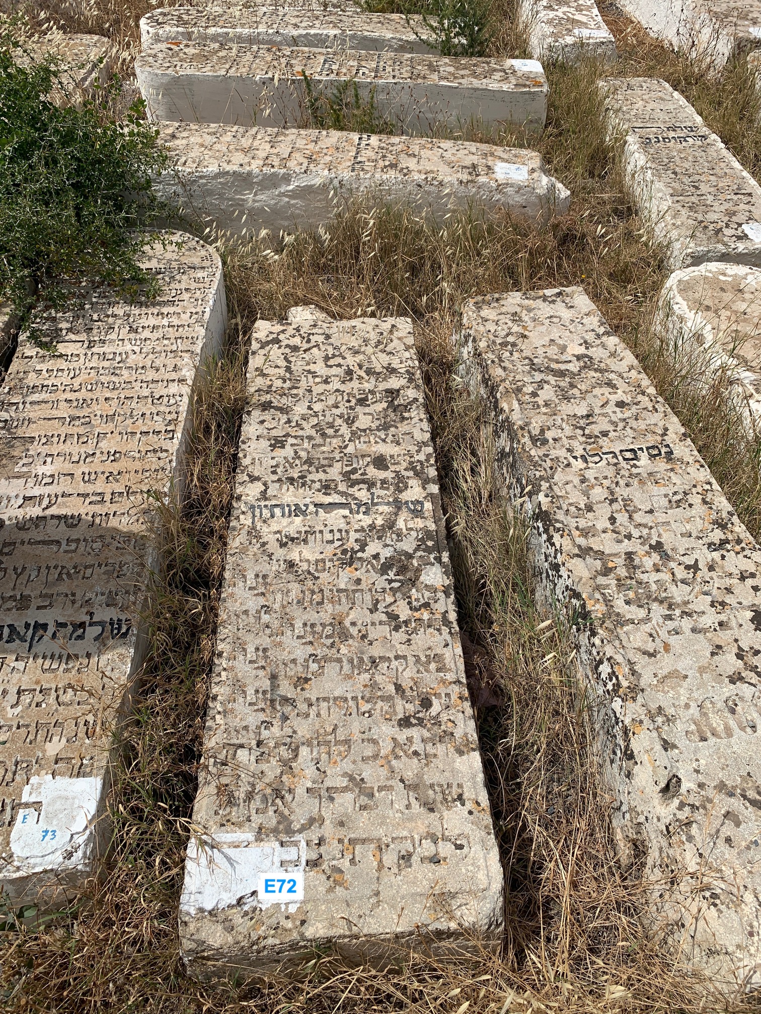 Estela de Ohayon Shlomo