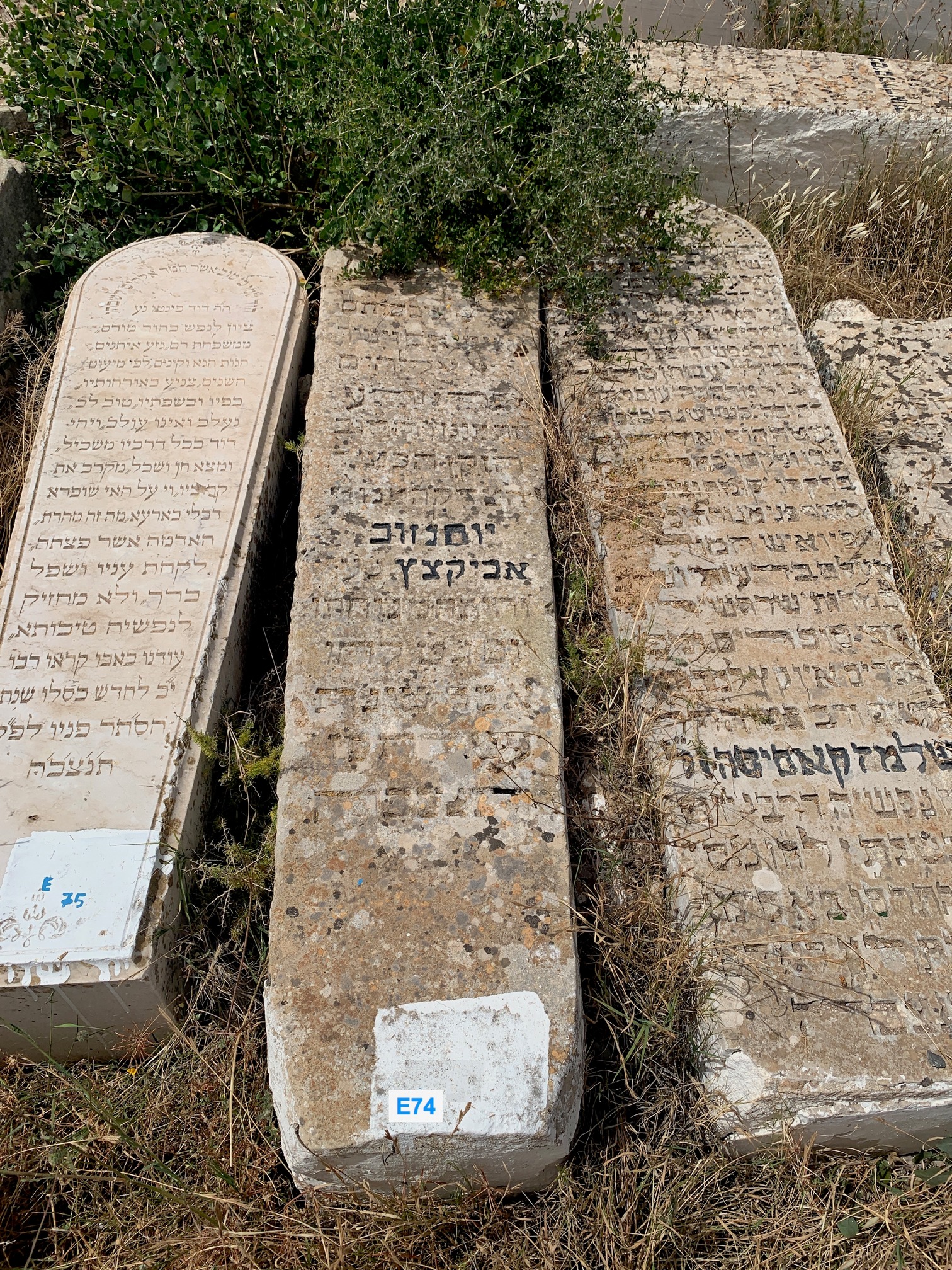מַצֵּבה פון Abécassis