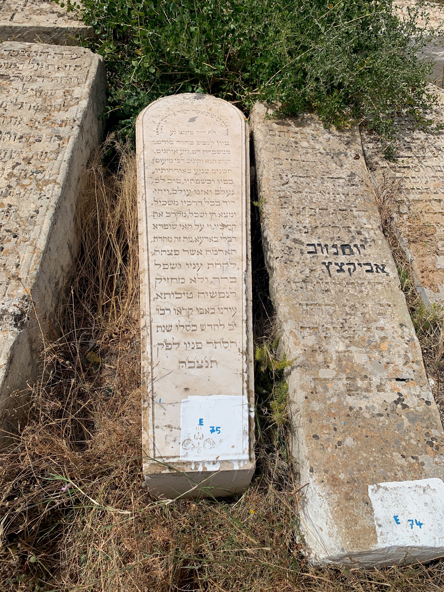 Stèle de Pinto David
