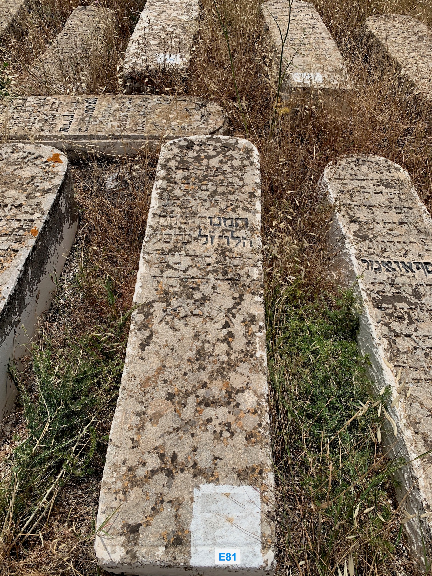 מַצֵּבה פון Halévy isaac