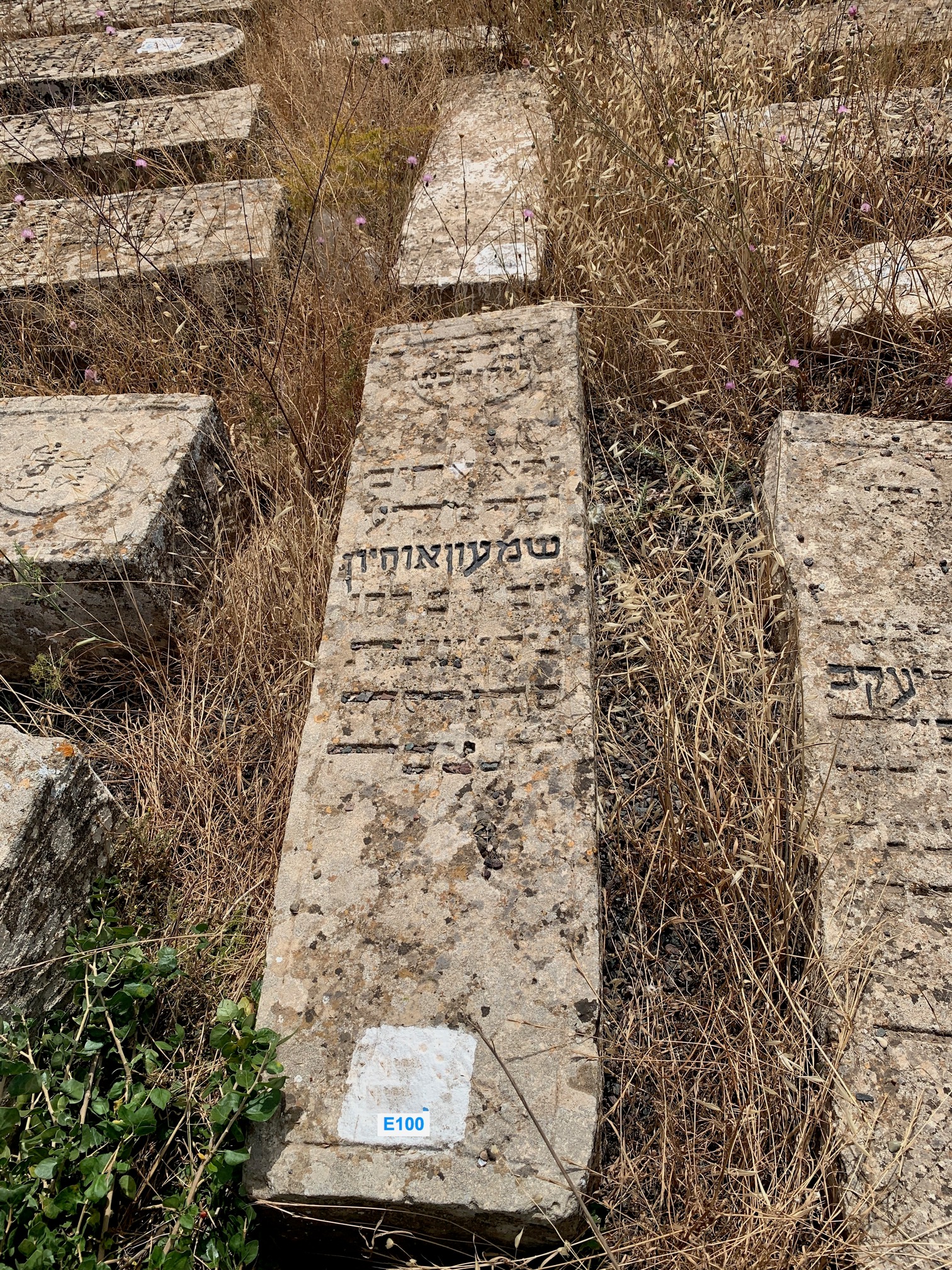 Tombstone of Ohayon Shimhon