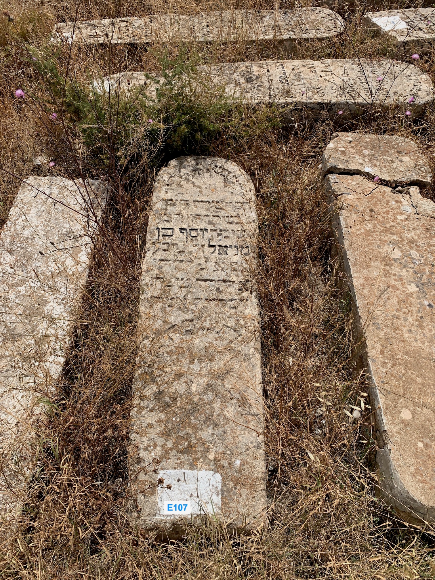 מַצֵּבה פון Ben Mizel Yossef
