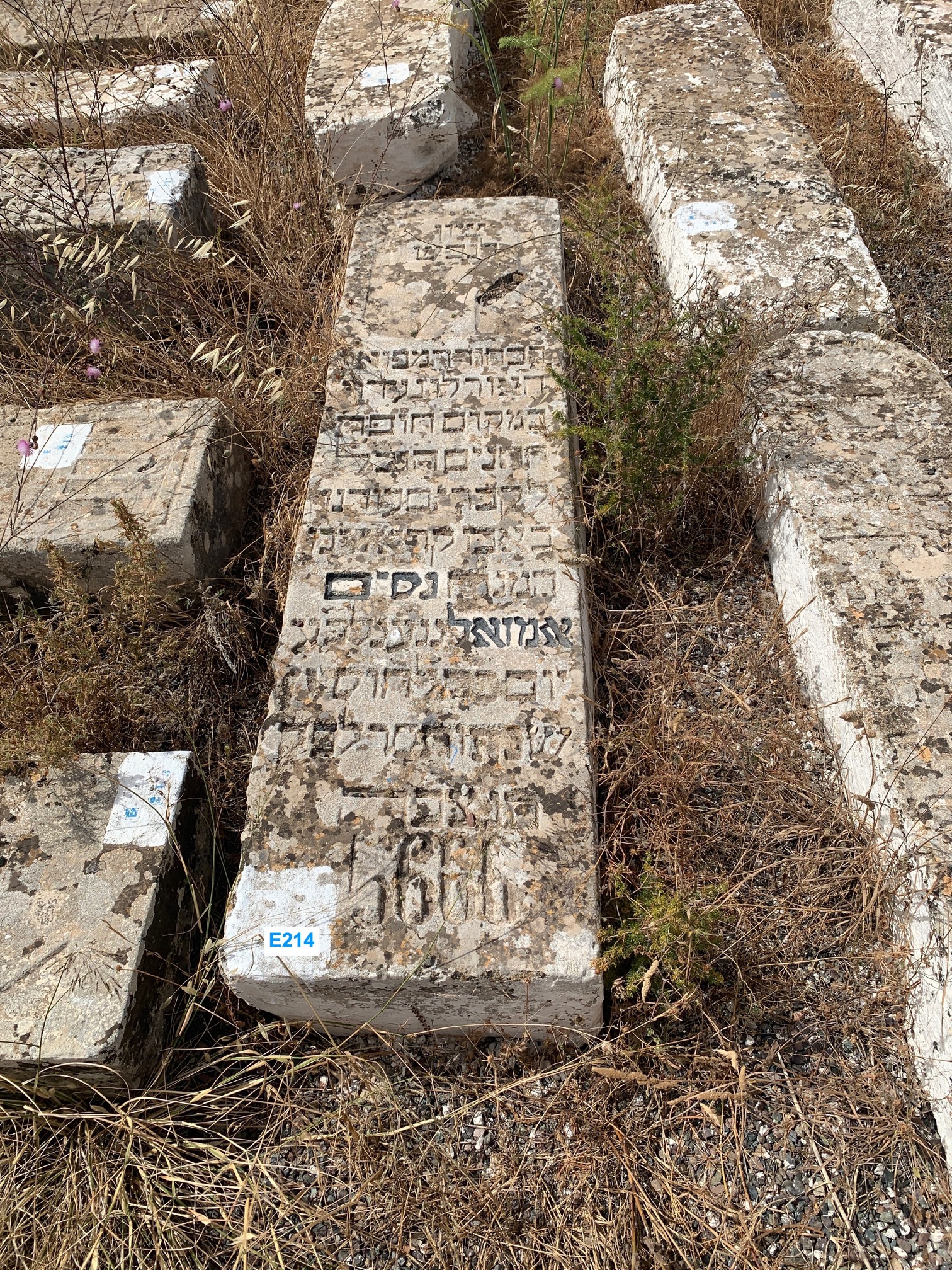 Stèle de Moyal Nissim