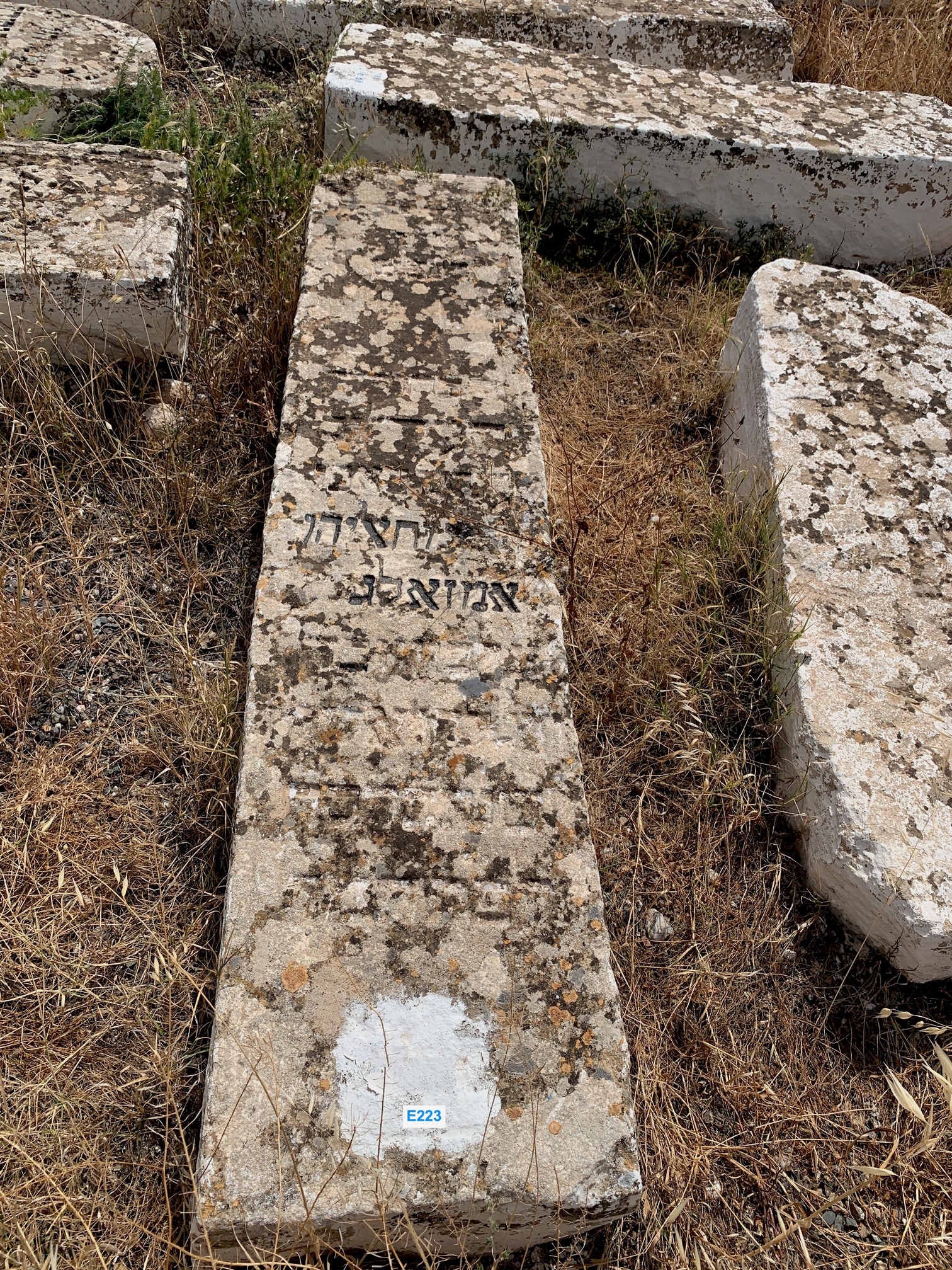 מַצֵּבה פון Amzallag Eliahou