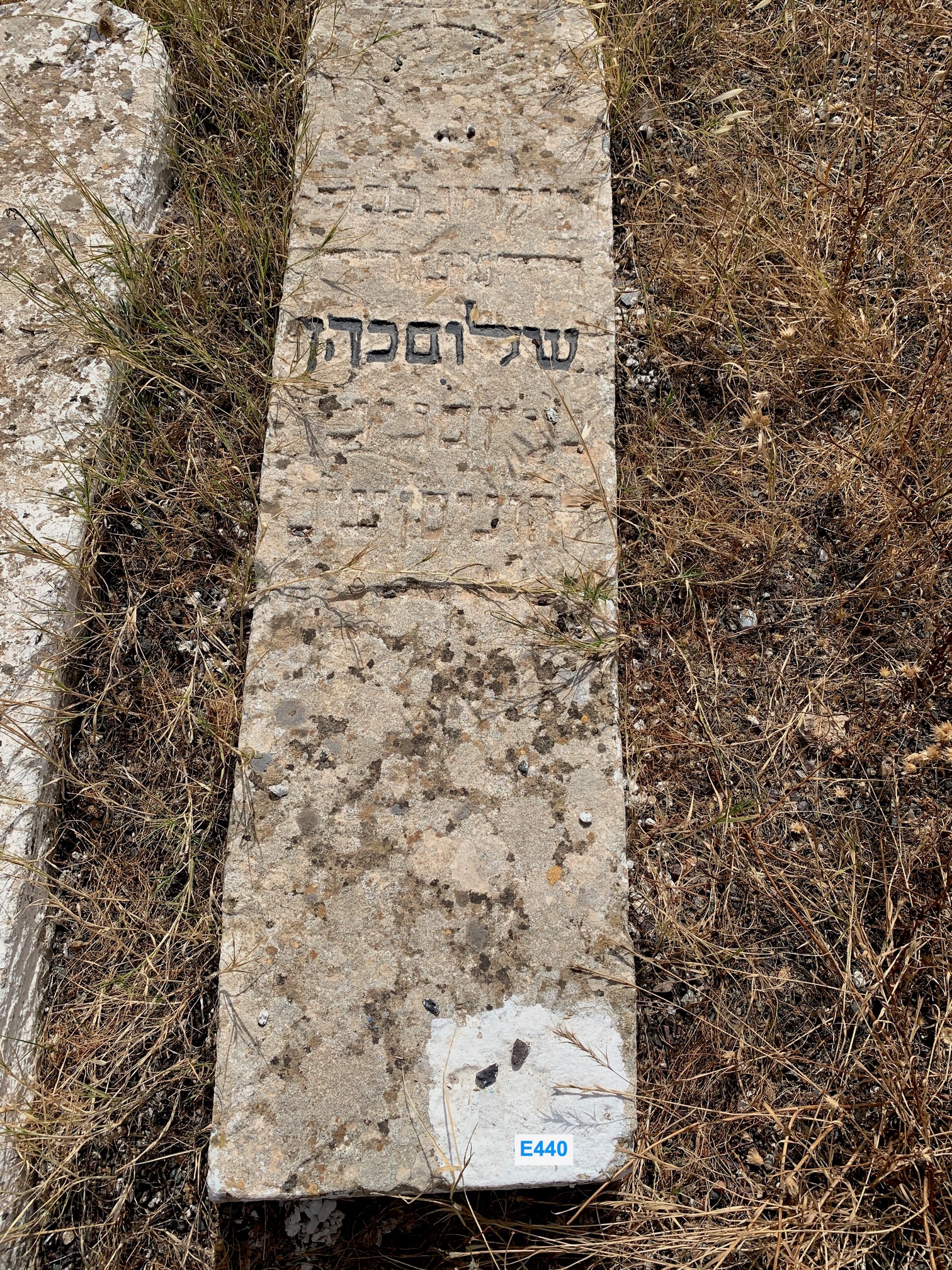 Cohen Shalom 的墓碑