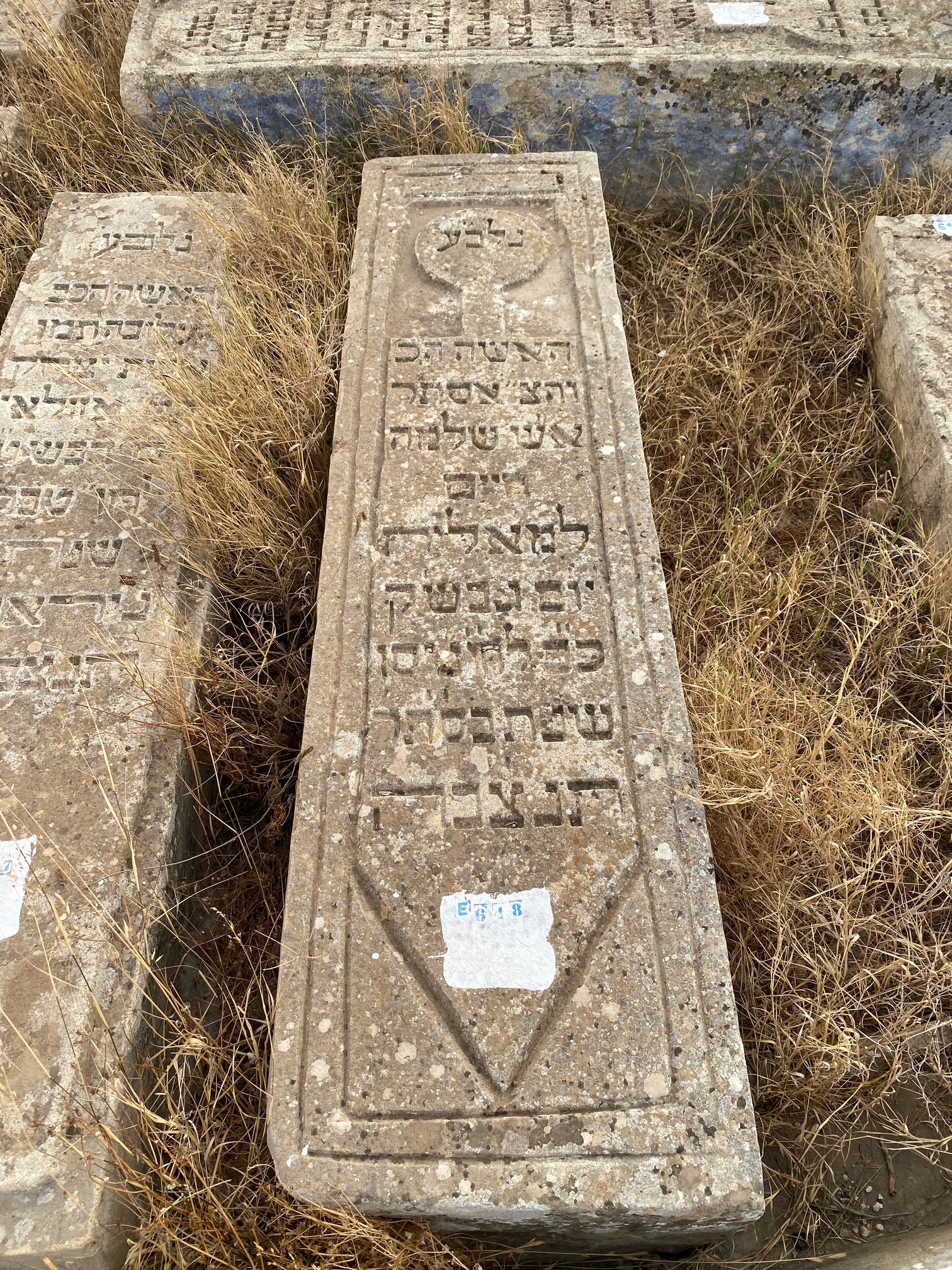 מַצֵּבה פון Elmaleh esther