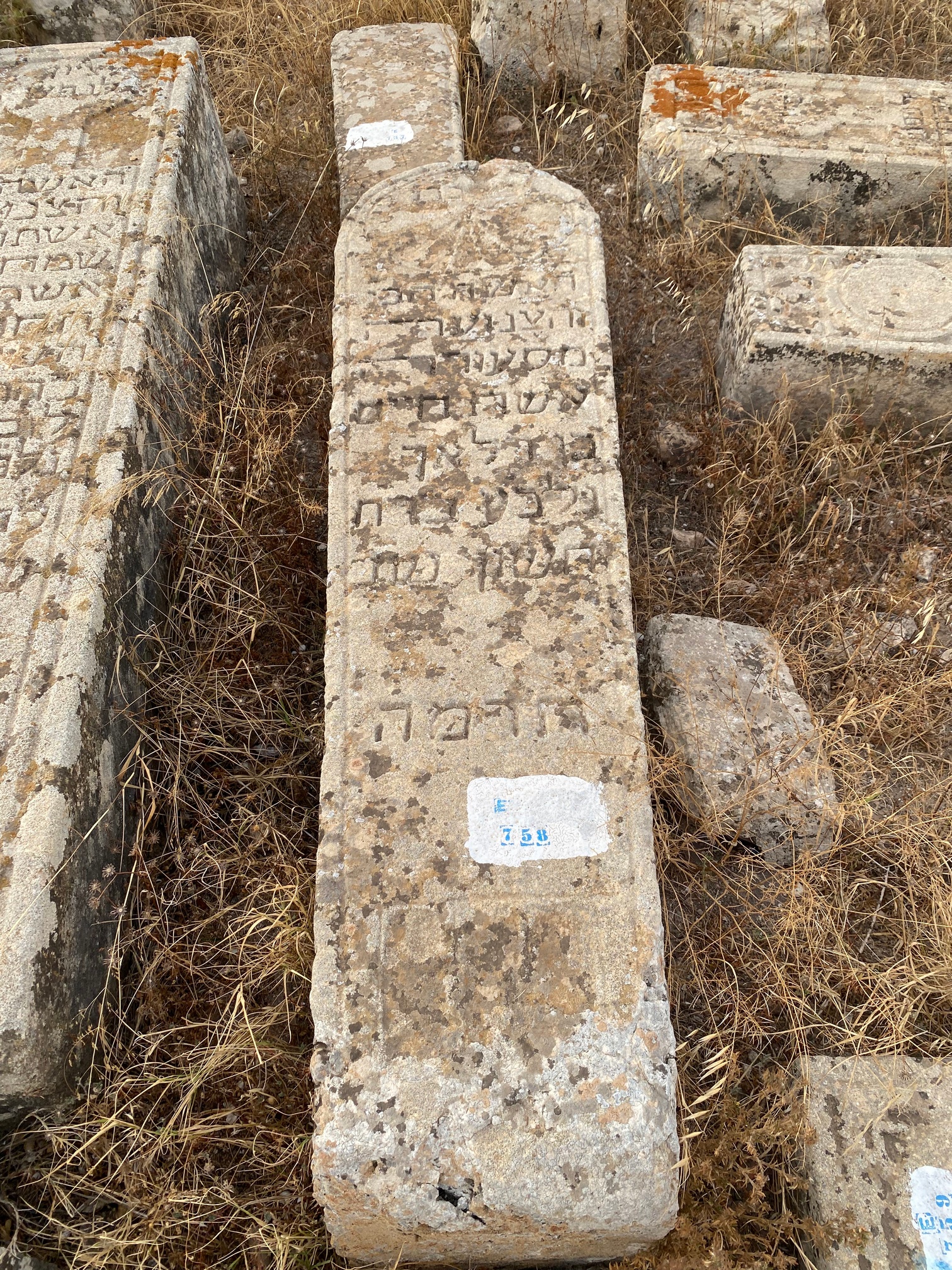 מצבת ZMIROU simha