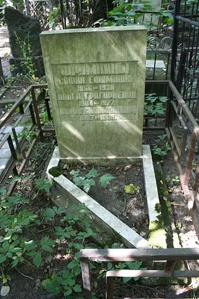 Фрумкин Б. С. का स्मारक