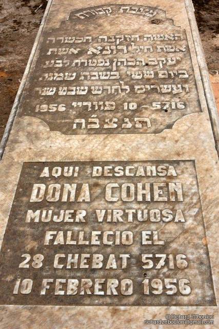 מַצֵּבה פון COHEN DONA