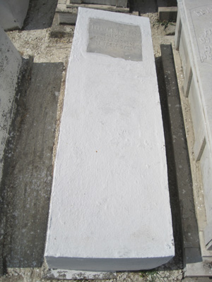Estela de toledano abraham