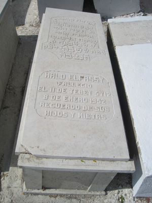 Stèle de elfassi halo