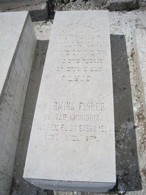 Stèle de fisher hermina