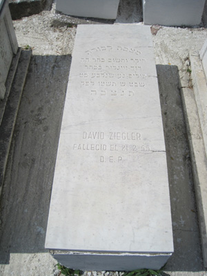 Stèle de ziegler david