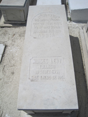 levy moses fejfája