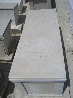 Stèle de goldstein elisa