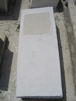 Stèle de israel reina