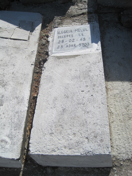 Stèle de melul alegria