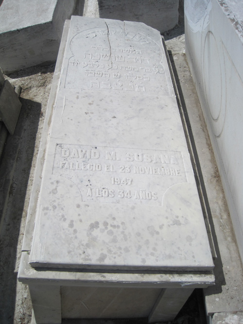 Lápide de susana david