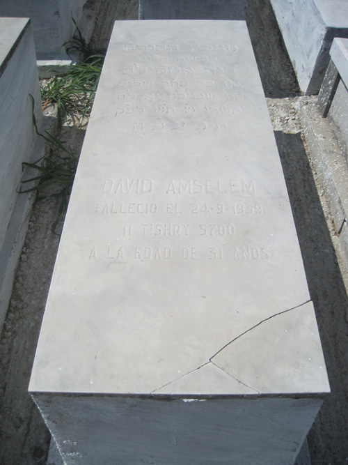 Estela de amsellem david