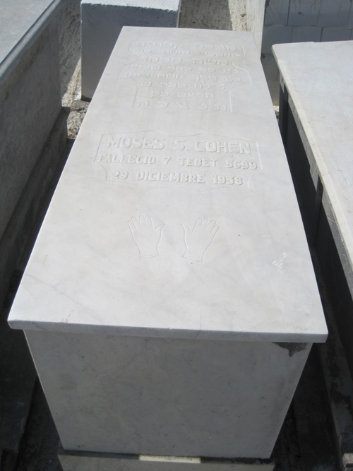 شاهدة قبر cohen moises