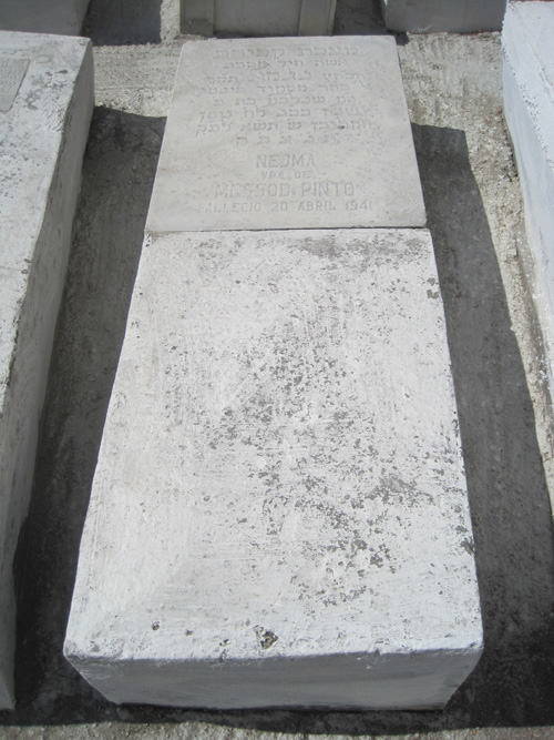 Lápide de pinto nejma