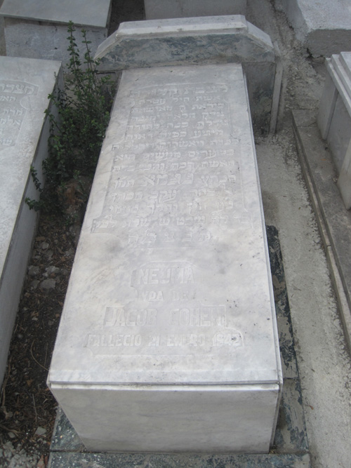 شاهدة قبر cohen nejma