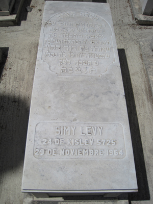 Estela de levy simy