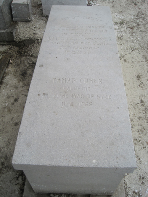 Grabstein von cohen tamar