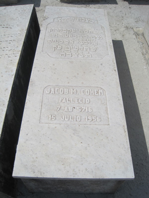 شاهدة قبر cohen jacob