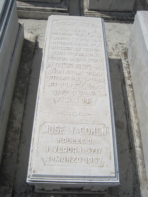Grabstein von cohen mose