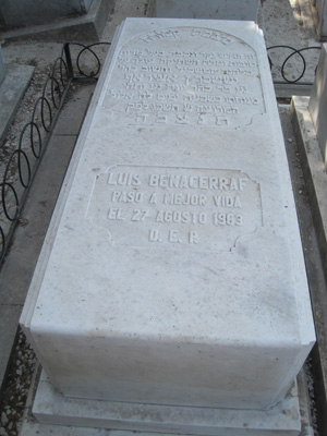 Stèle de benaceraf luis