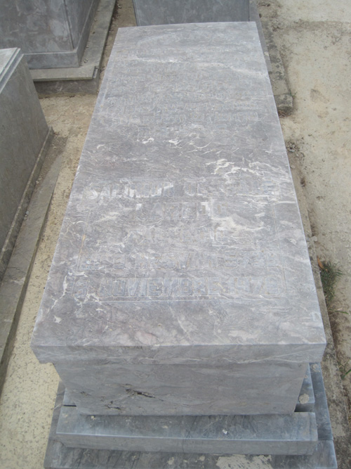 מַצֵּבה פון laredo salomon