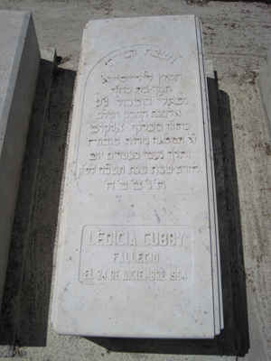 מַצֵּבה פון cubby ledicia