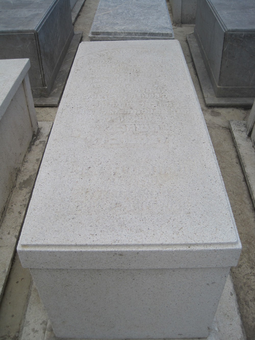 Estela de toledano licy