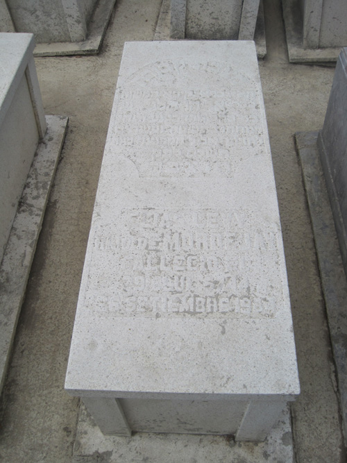 Estela de levy elias