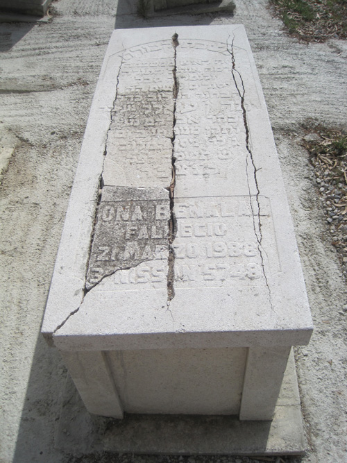 شاهدة قبر benalal yona